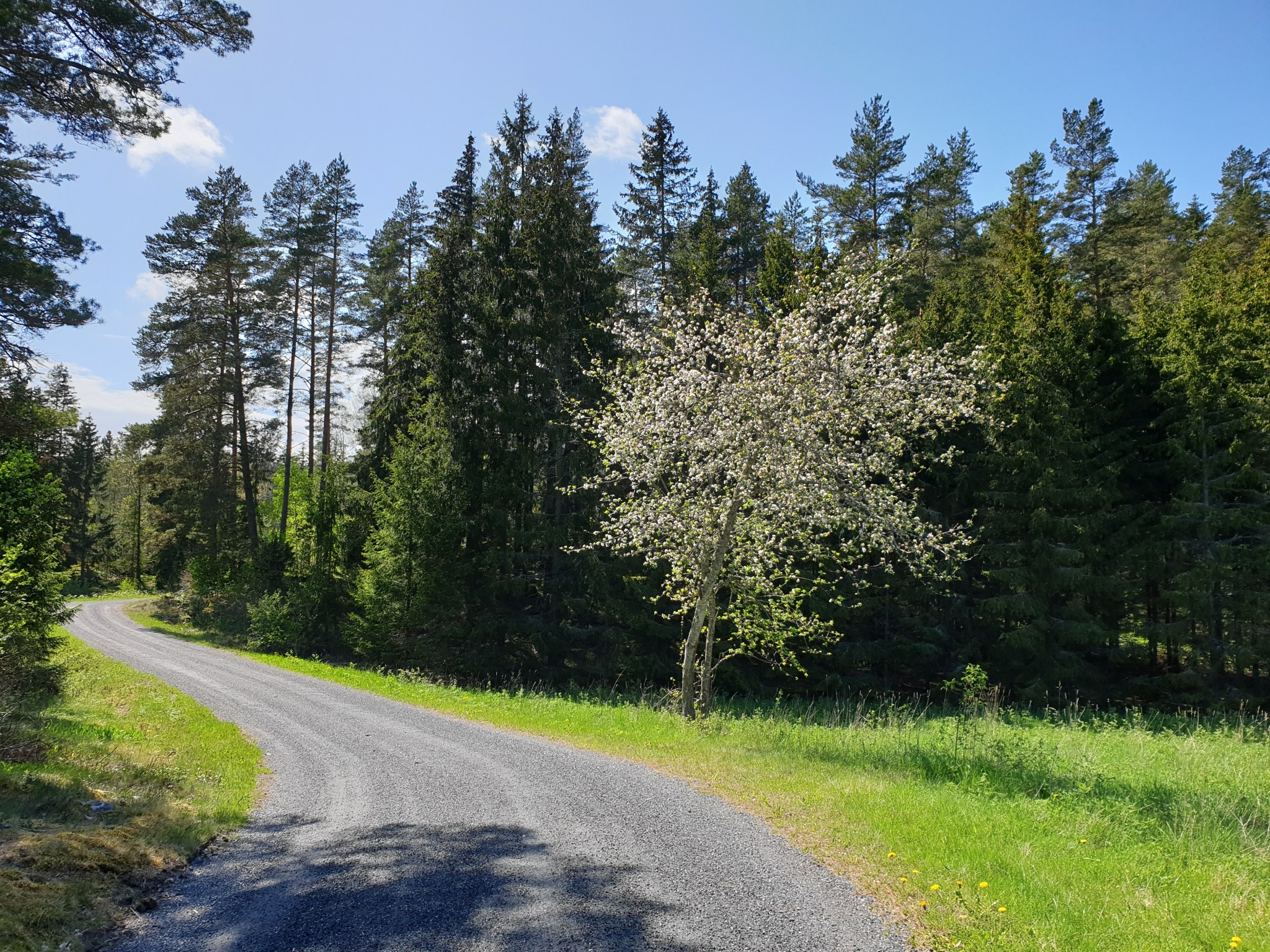 Overview Credit Card Bike Touring